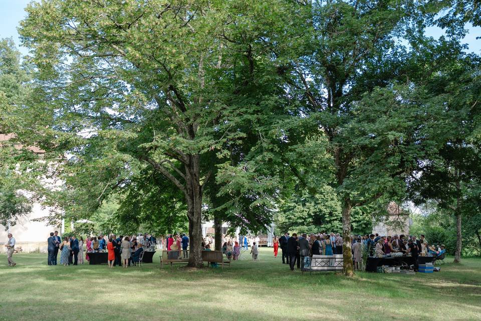 Cocktail sous les arbres