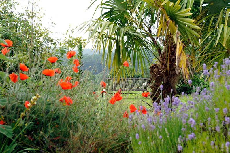 Jardin fleuri