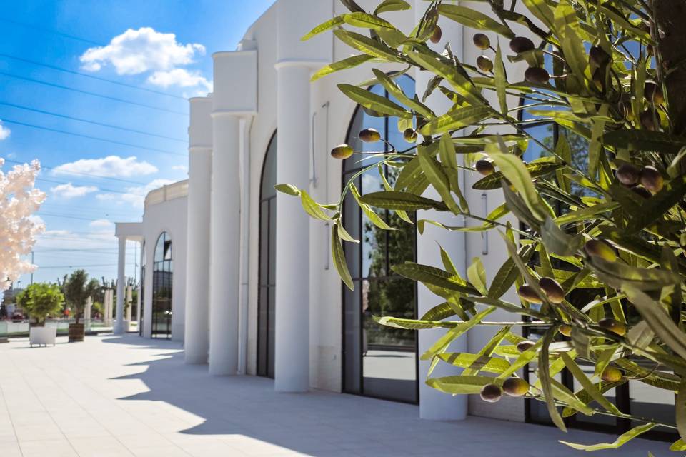 Une architecture épurée
