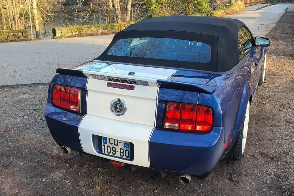 Shelby GT500 V8 5.4L 500