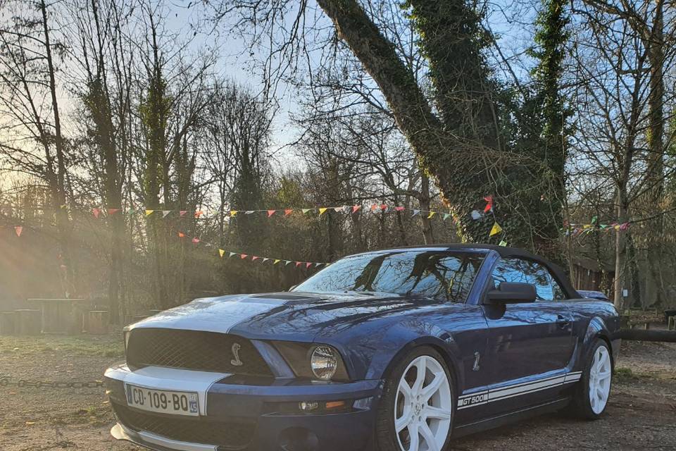 Shelby GT500 V8 5.4L 500