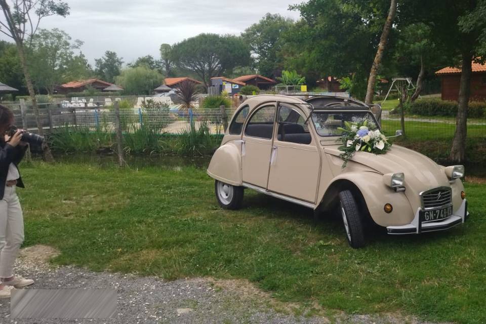 Je suis la plus belle