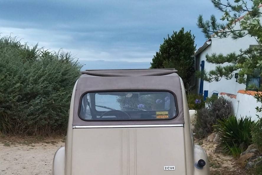 Dans le vent de NOIRMOUTIER