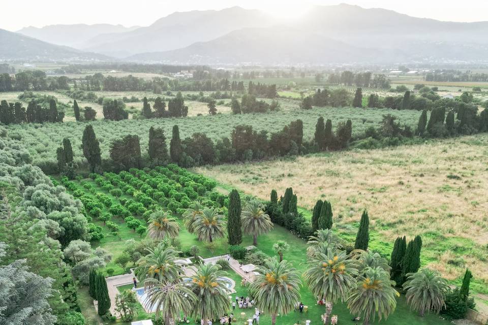 Domaine de Vignale