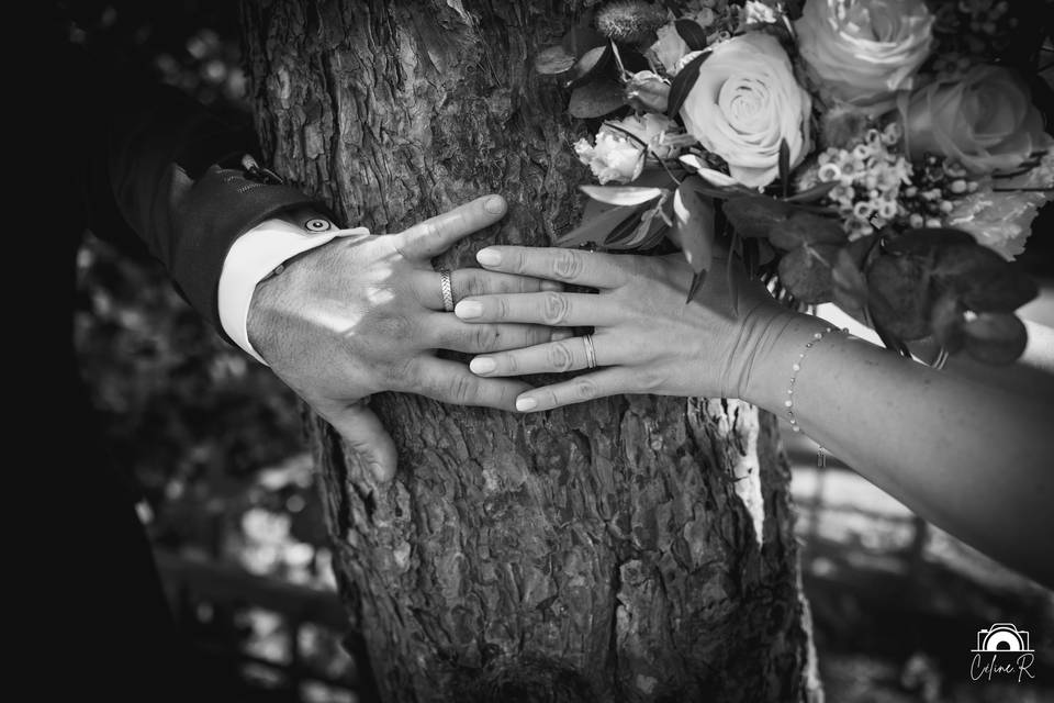 Céline.R Photographie