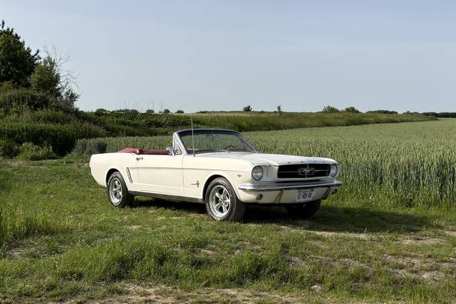 La Ford Mustang 1965, une icôn