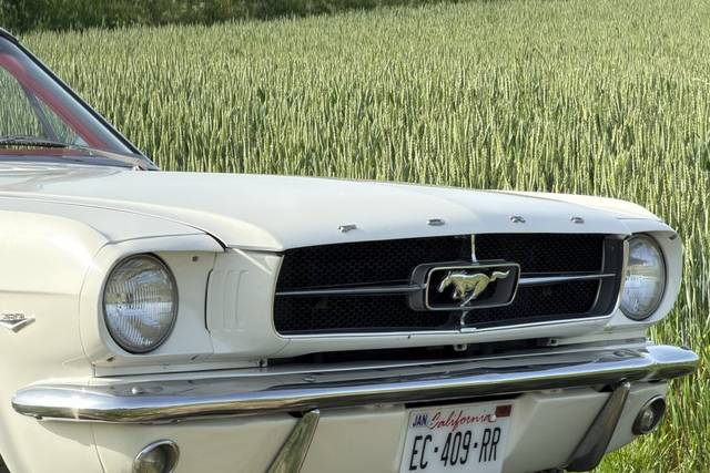 La Ford Mustang 1965, une icôn