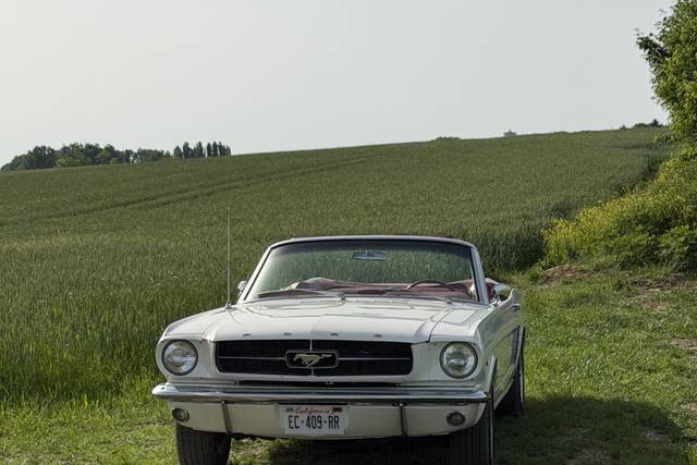 La Ford Mustang 1965, une icôn