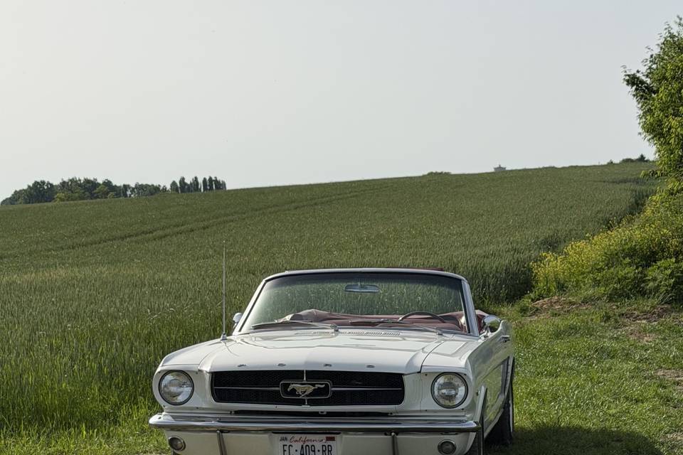 La Ford Mustang 1965, une icôn