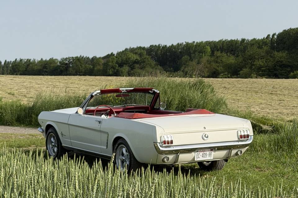 La Ford Mustang 1965, une icôn