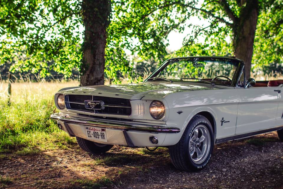Mustang de 1965