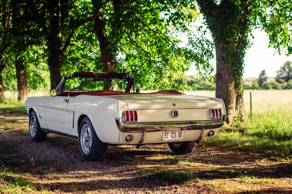 Mustang de 1965