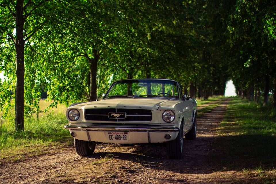 Mustang de 1965
