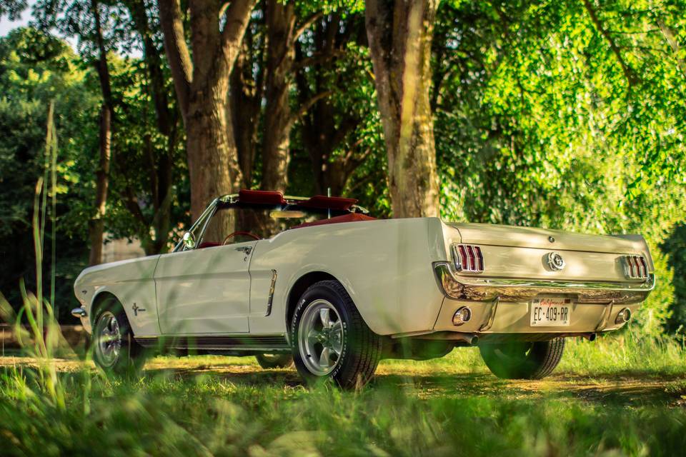 Mustang de 1965