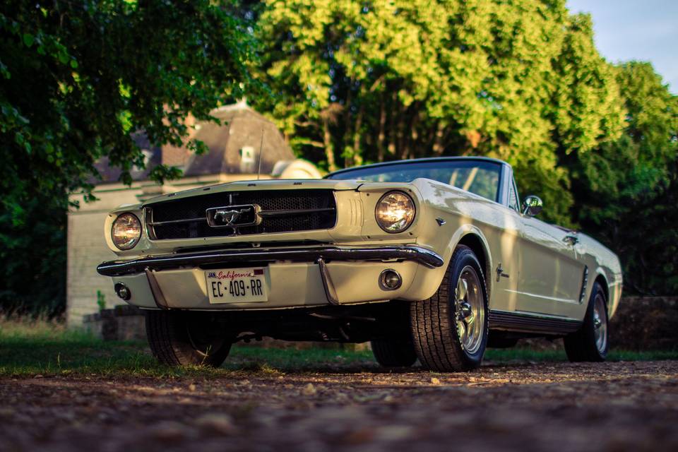 Mustang de 1965