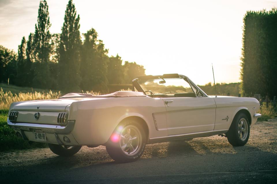 Mustang de 1965