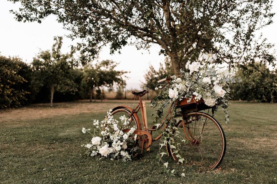 Notre vélo vintage