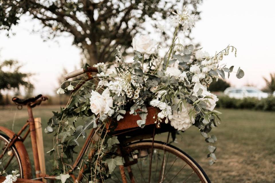 Notre vélo vintage