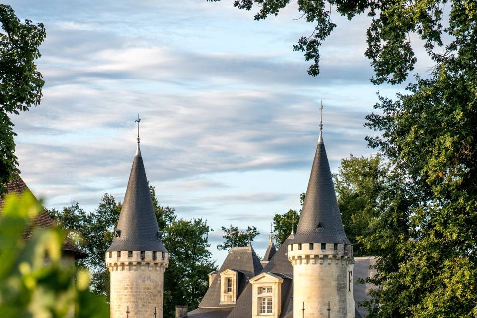 Vue des vignes