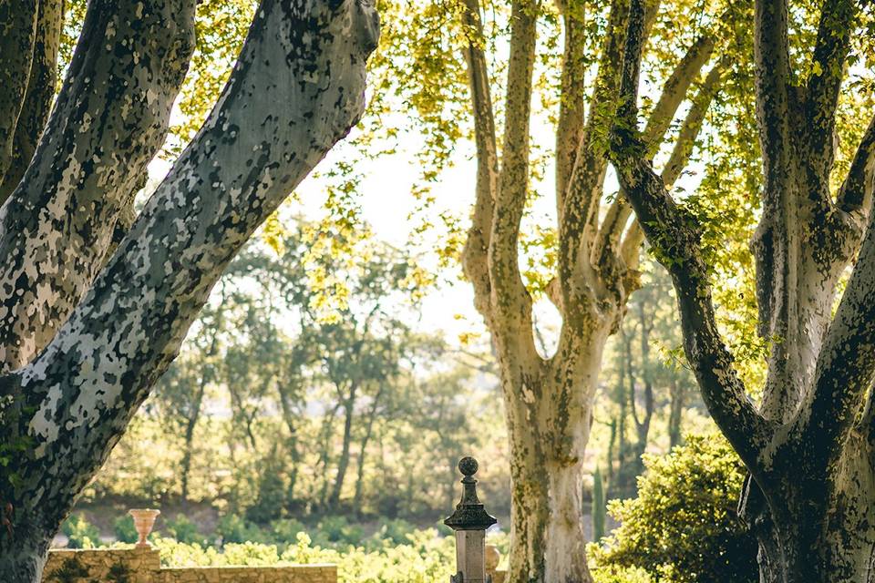 Jardin du haut