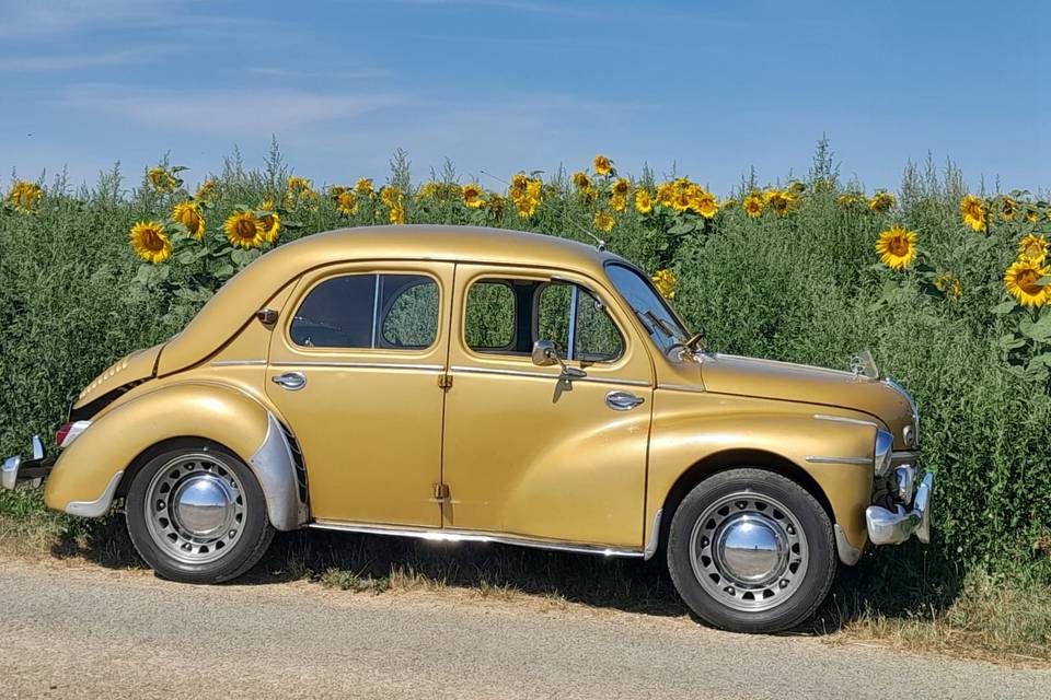 Renault 4cv