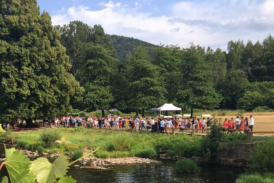 La Drille au Bord de l'Eau