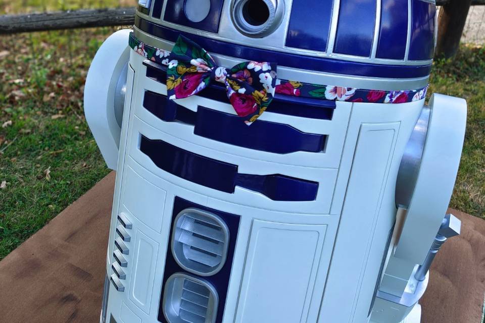 Mariage Star Wars Boho