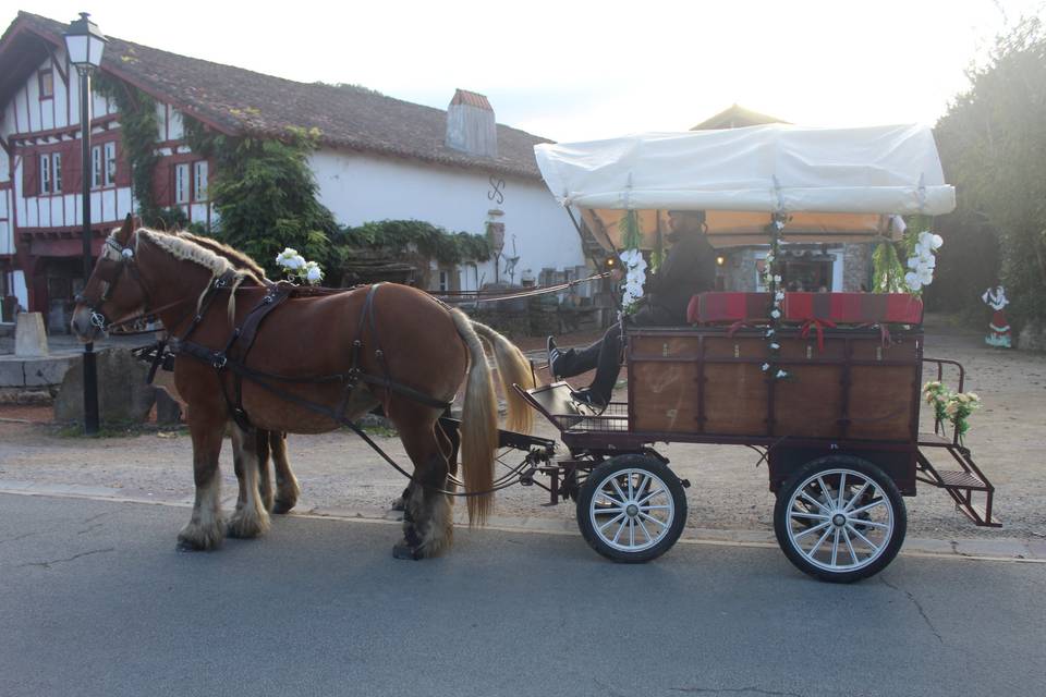 Zaldikaroan en Calèche