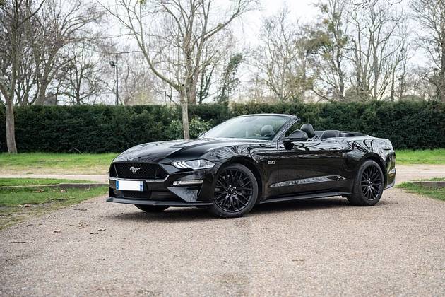 Mustang