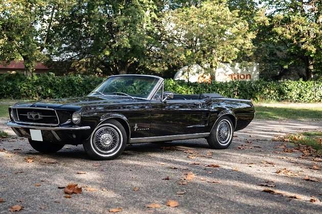 Mustang Noir