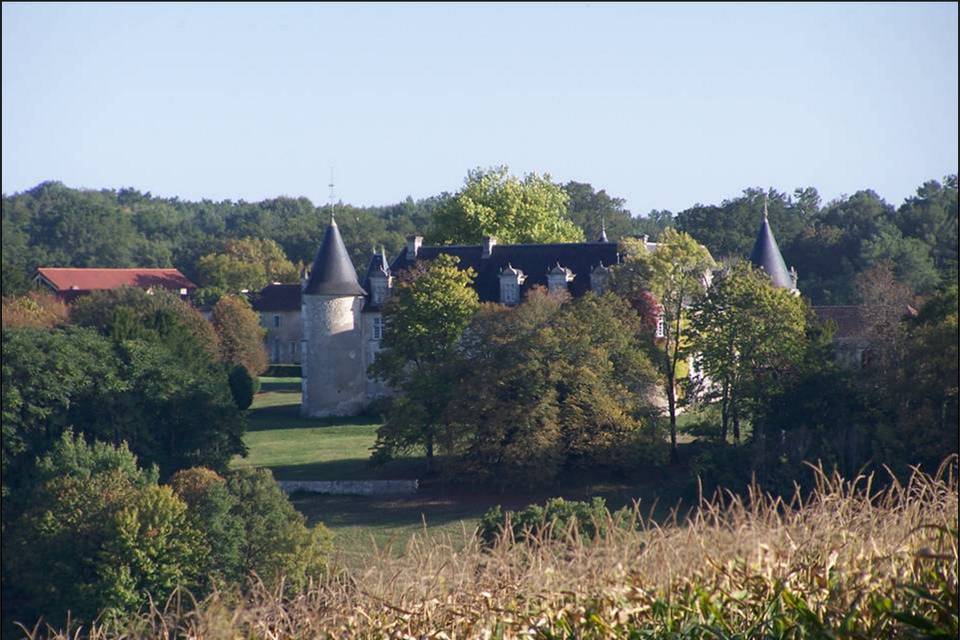 Château de la Côte Brantôme