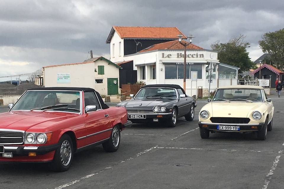 Jaguar/Fiat/Mercedes