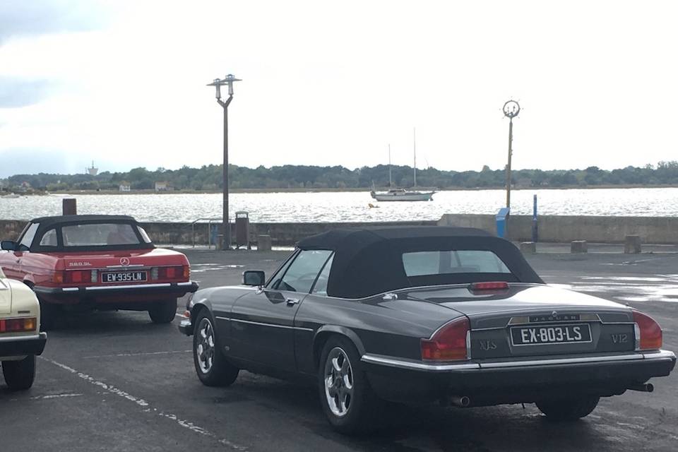 Jaguar/Fiat/Mercedes