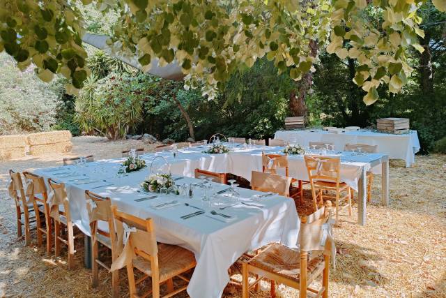 Jardin
