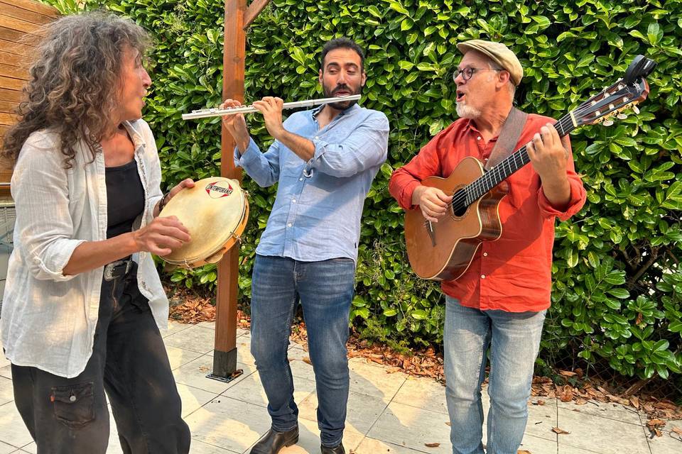 PARIBAYA TRIO