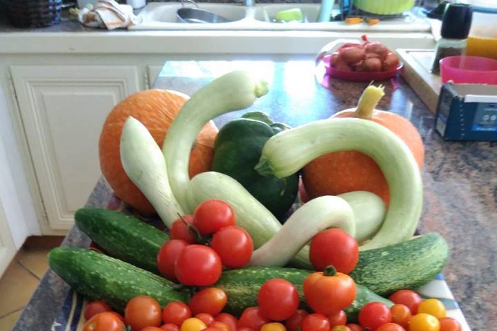 Récolte de lègumes du jardin