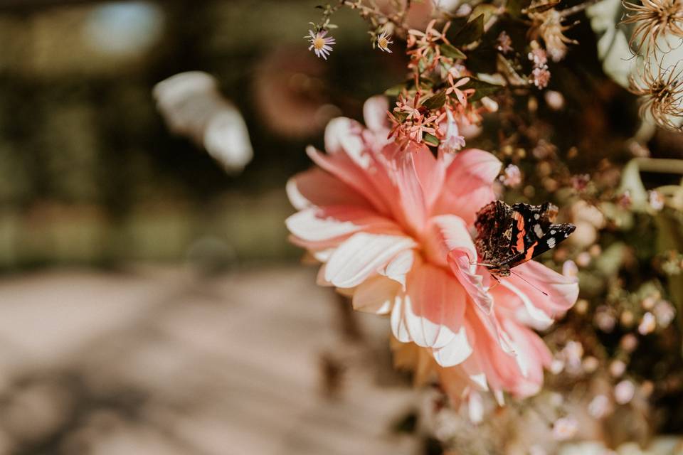 Fleurs de saison et locales