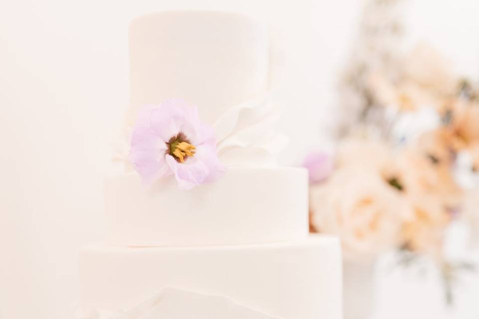 Wedding CakeWedding Cake