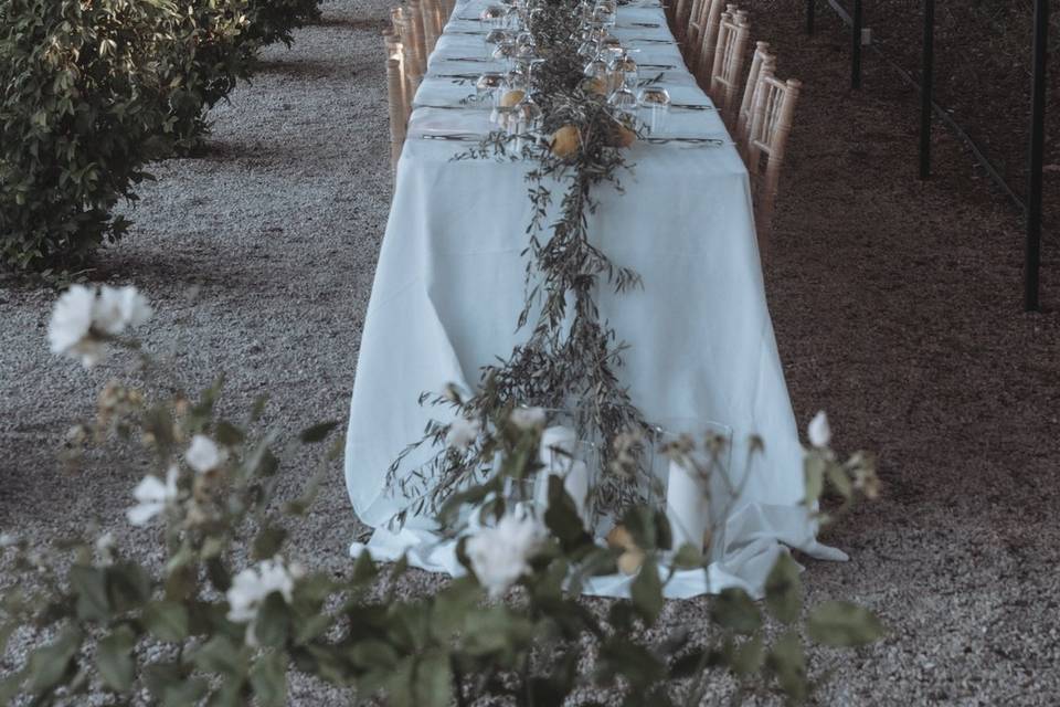 Un diner en Provence