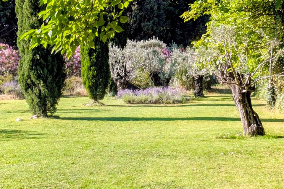 Jardin