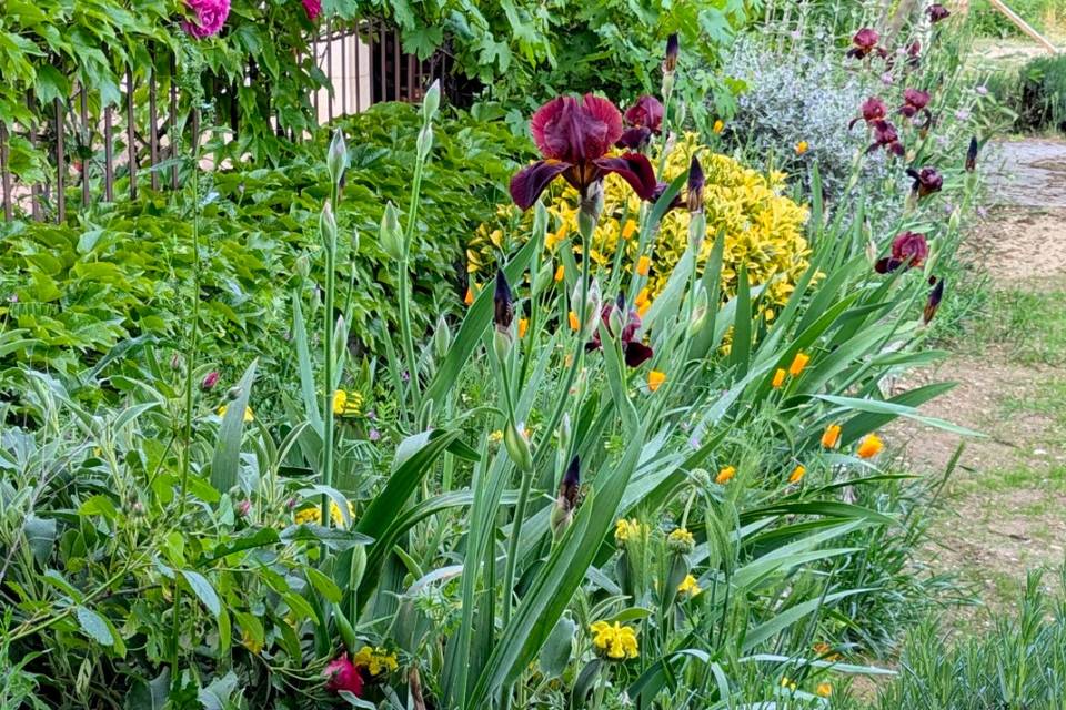 Jardin