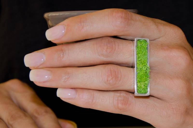 Bague Jardinière avec lichen
