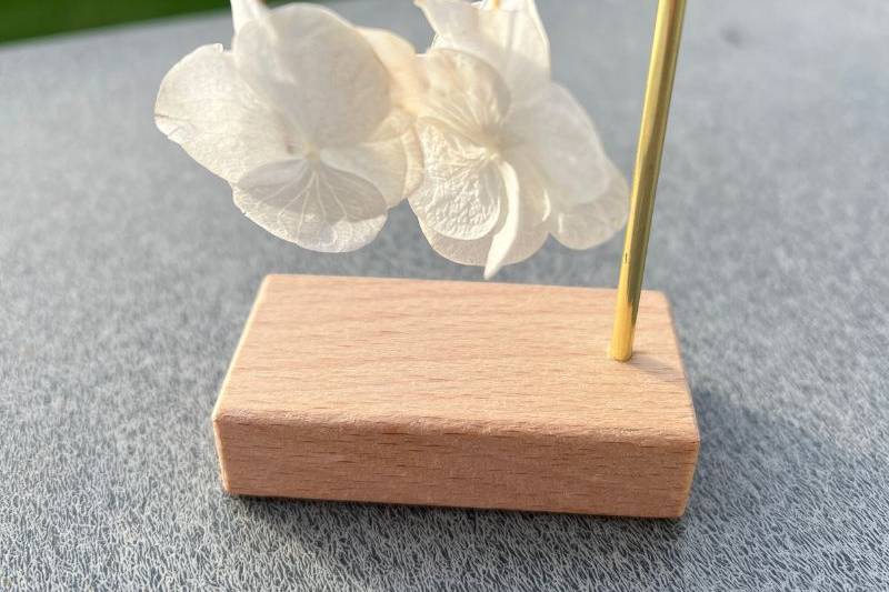 Modèle Eliott avec hortensia