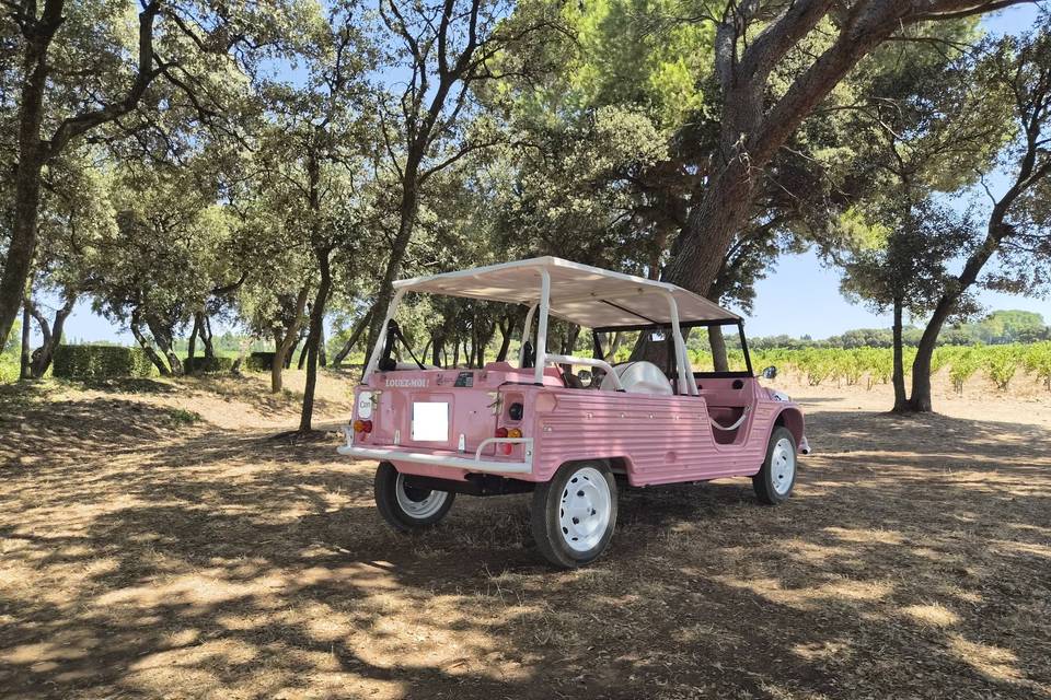 Eden pinky arrière