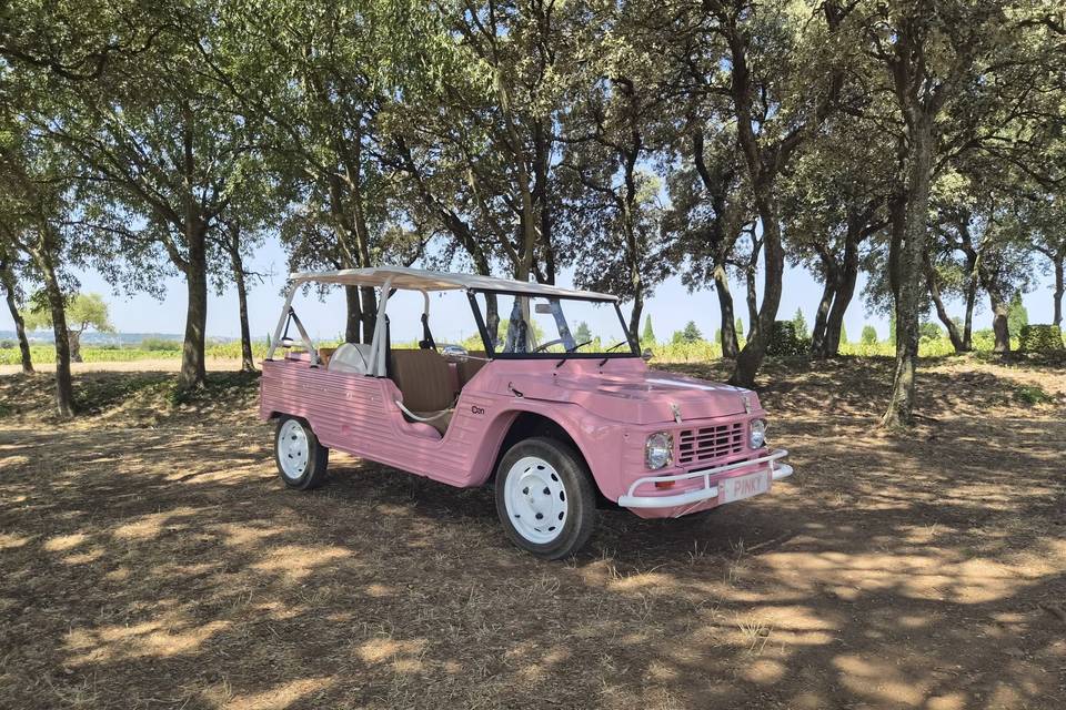 Eden pinky électrique