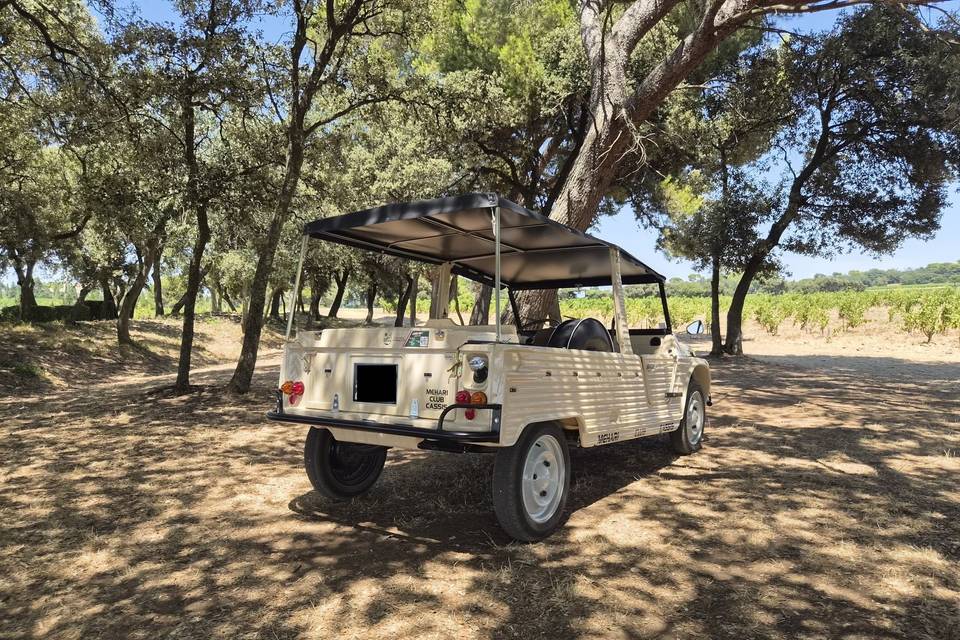 Méhari beige arrière