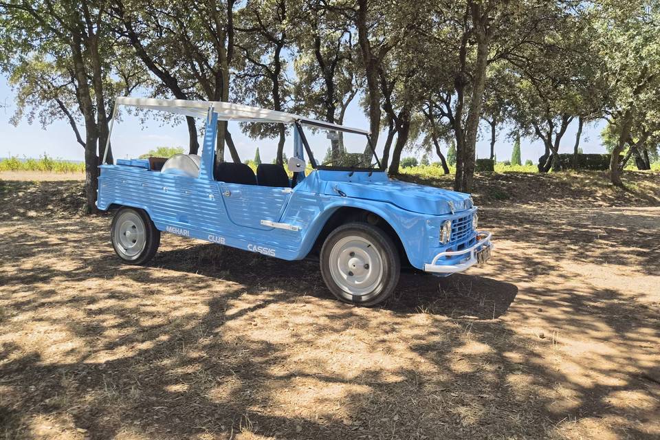 Méhari bleue 1973