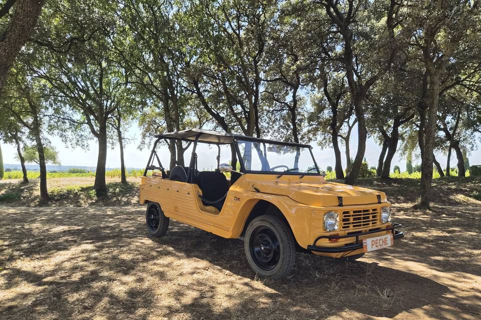Eden Pêche électrique