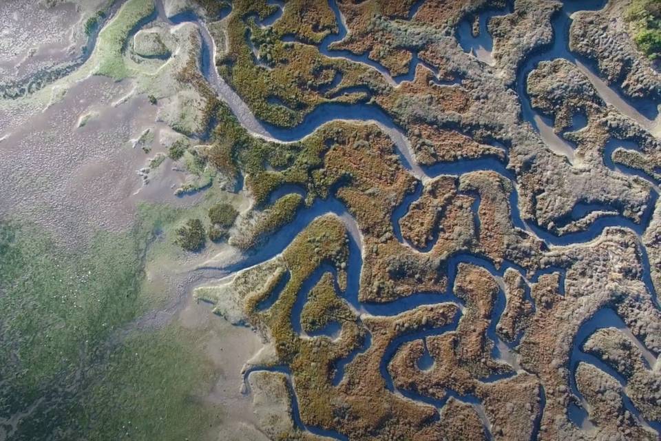 Estuaire de la Rance