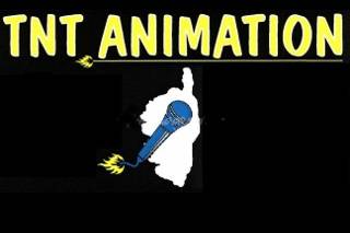 TNT Animation Logo